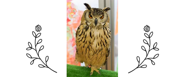 ふれあい移動動物園