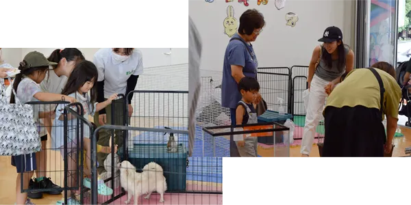 ふれあい移動動物園