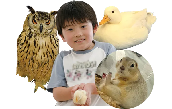 ふれあい移動動物園