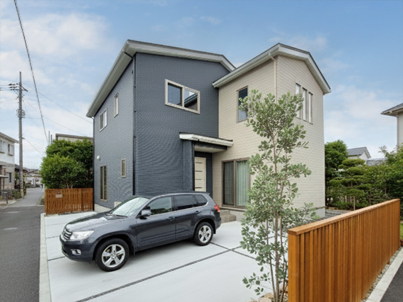 自然光と木が彩る、贅沢リビングの家