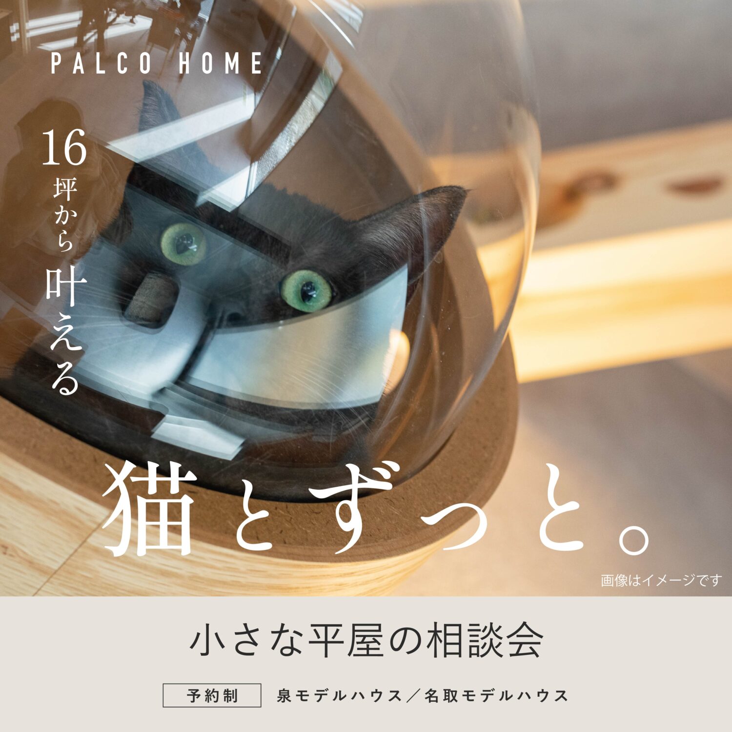 猫と暮らす平屋の相談会